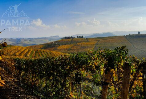 langhe in autunno