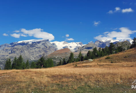 anello ayas pampa trek (10)