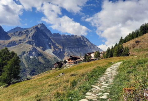 anello ayas pampa trek (14)