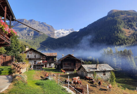 anello ayas pampa trek (22)