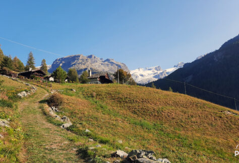 anello ayas pampa trek (23)