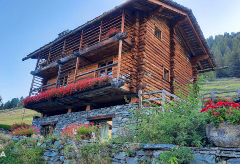 anello ayas pampa trek (5)