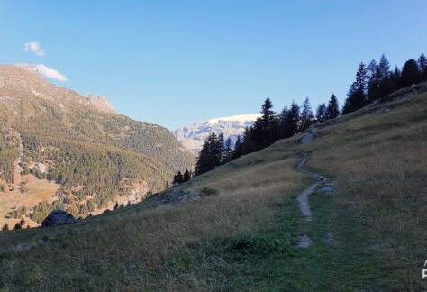 anello ayas pampa trek (6)