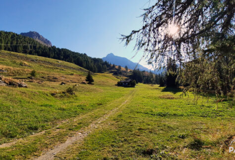 anello ayas pampa trek (7)