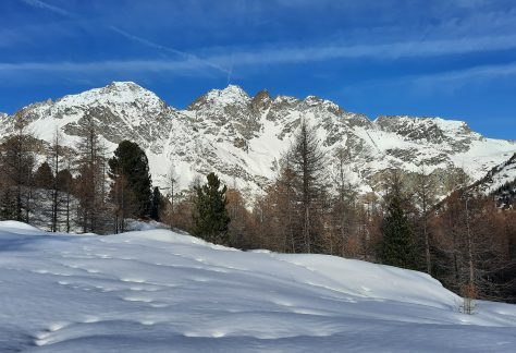 Saint-Barthélemy pampa trek (9)