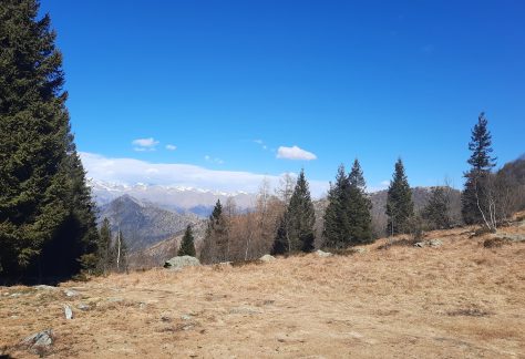 Escursione parco naturale colle del Lys - Torino Piemonte