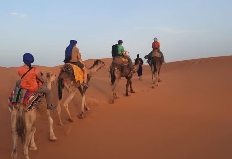 Trekking in marocco_ tra montagna e deserto_pampa trek (31)