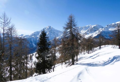 Ciaspole rifugio guido rey (3)