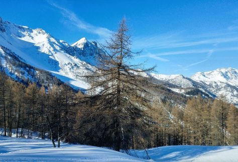 Ciaspole rifugio guido rey (4)