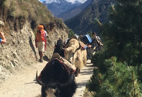 EBC - Trekking campo base Everest con Pampa Trek (5)