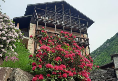 la val sesia con pampa trek (1)