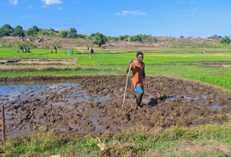 Madagascar trekking con Pampa Trek (2)