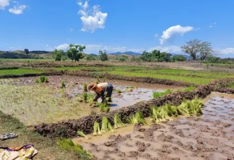 Malgasci a Lavoro in Madagascar