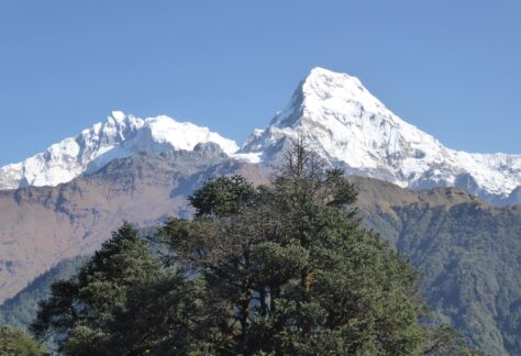 Santuario dell'Annapurna trekking con Pampa Trek (6)