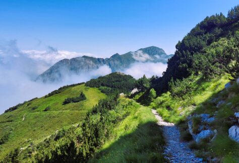 Panoramica su sentiero e montagne del Marguareis