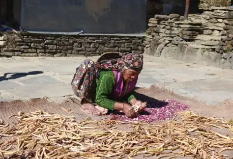 Donna Nepalese a Lavoro