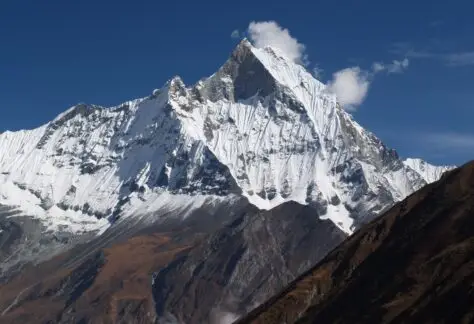 Vetta Nepalese
