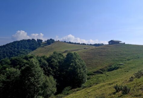 Cammino di ermenegildo Oasi Zegna con Pampa Trek (12)