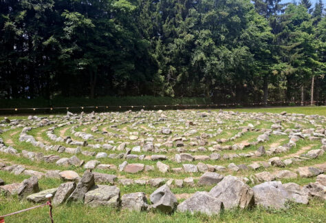 Cammino di ermenegildo Oasi Zegna con Pampa Trek (15)