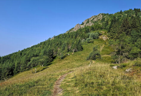 Cammino di ermenegildo Oasi Zegna con Pampa Trek (16)