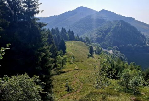 Cammino di ermenegildo Oasi Zegna con Pampa Trek (17)