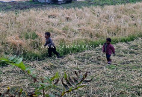 Bambini nei campi lungo il percorso del trekking del Circuito del Manaslu