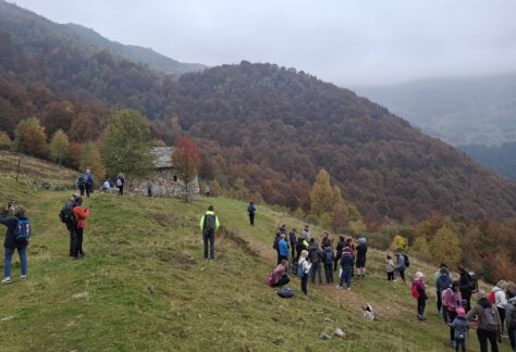foliage oasi zegna trek (2)