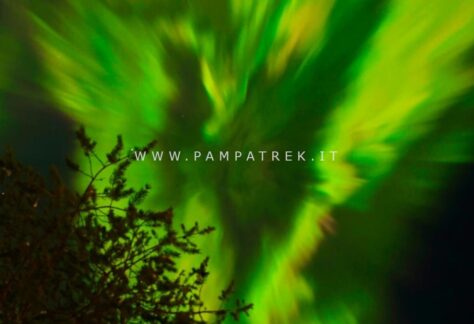 Aurora boreale nel cielo notturno della Lapponia finlandese