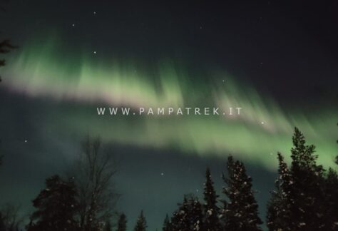 Aurora boreale nel cielo notturno della Lapponia finlandese