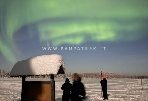 Aurora boreale sopra il paesaggio innevato di Salla in Finlandia