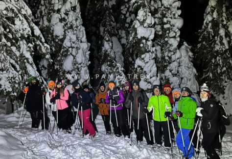 Gruppo durante una ciaspolata notturna nella Lapponia finlandese
