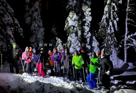 Gruppo durante una ciaspolata notturna nella Lapponia finlandese