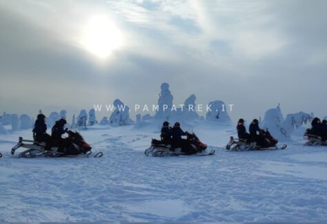 Gruppo in motoslitta tra i paesaggi innevati di Salla
